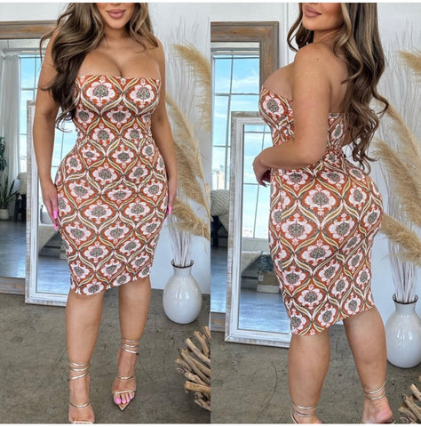 Printed Tube Dress w/Full Inner Lining